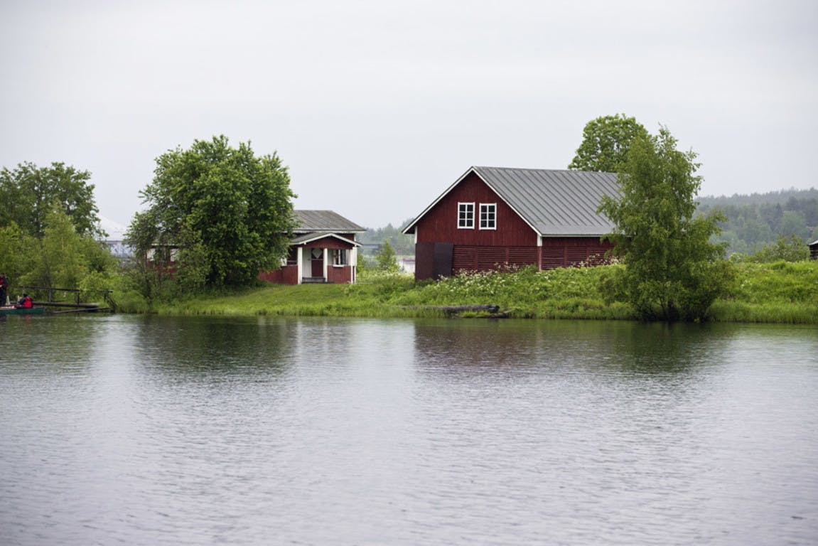 lapland safaris kotisaari