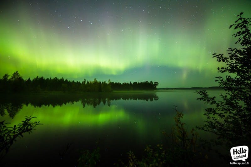 Nothern lights in Autumn time in Rovaniemi (Picture by Aleksander kuznetsov)