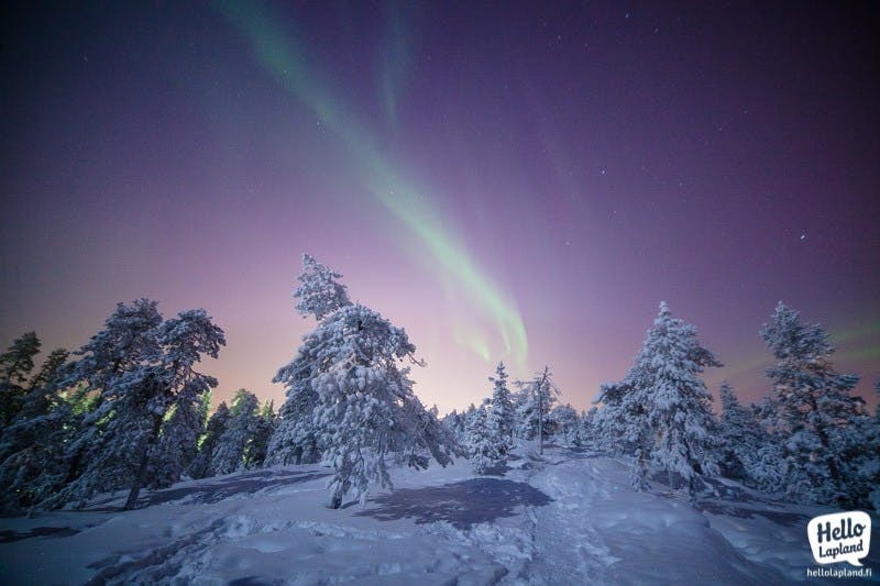 Aurora borealis in winter in Lapland (picture by Aleksander Kuznetsov)