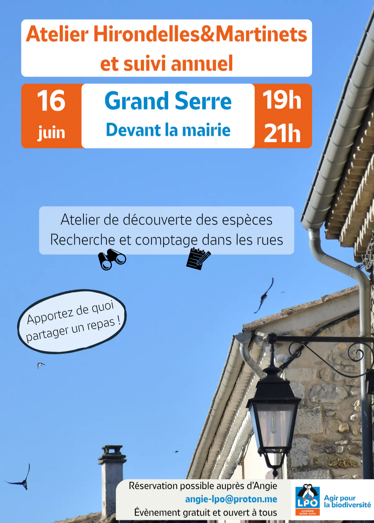 Atelier hirondelles & martinets - suivi annuel