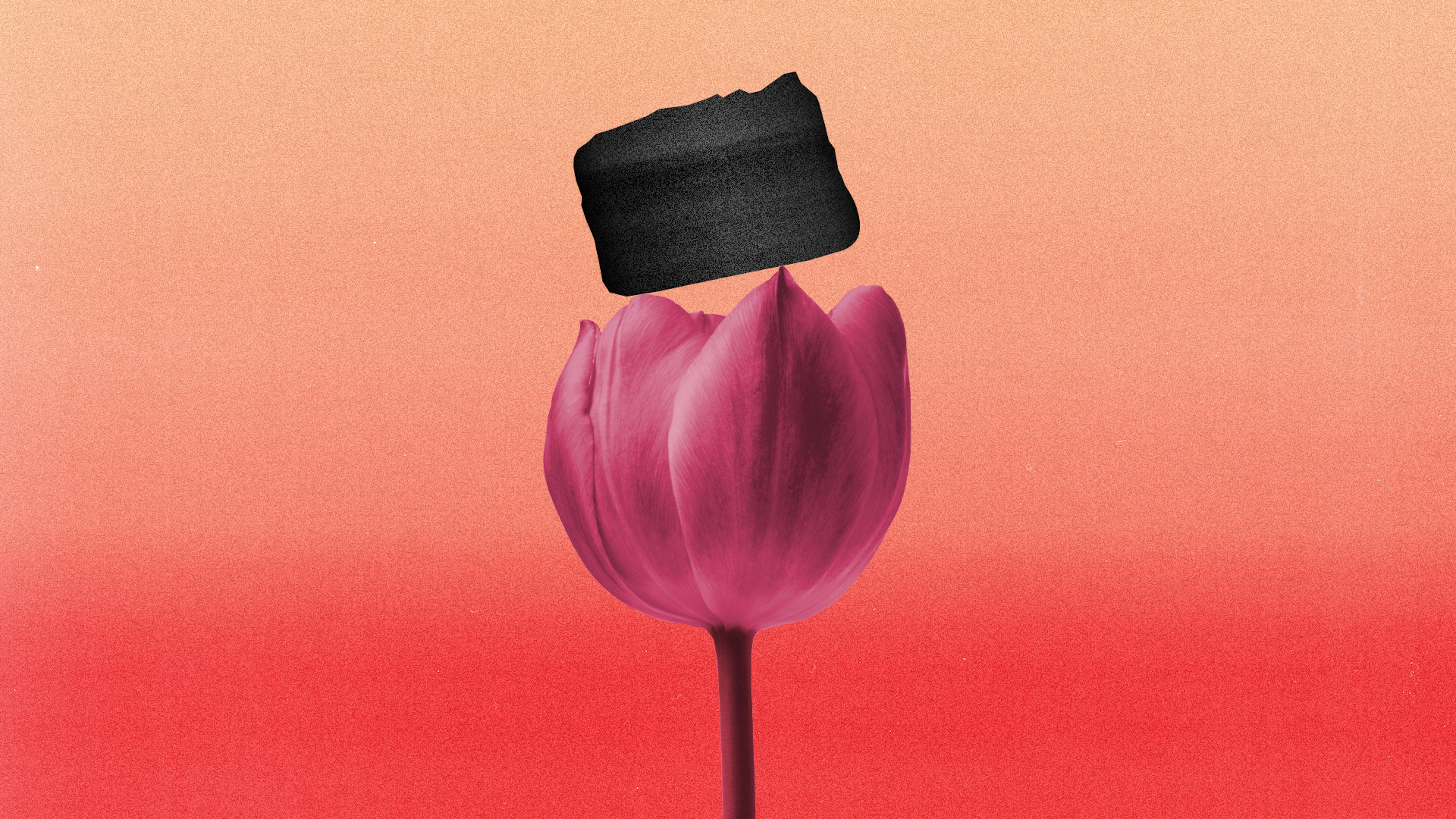 A piece of aerographene, resting lightly on a pink tulip's petals against a gradient sunset-coloured background.