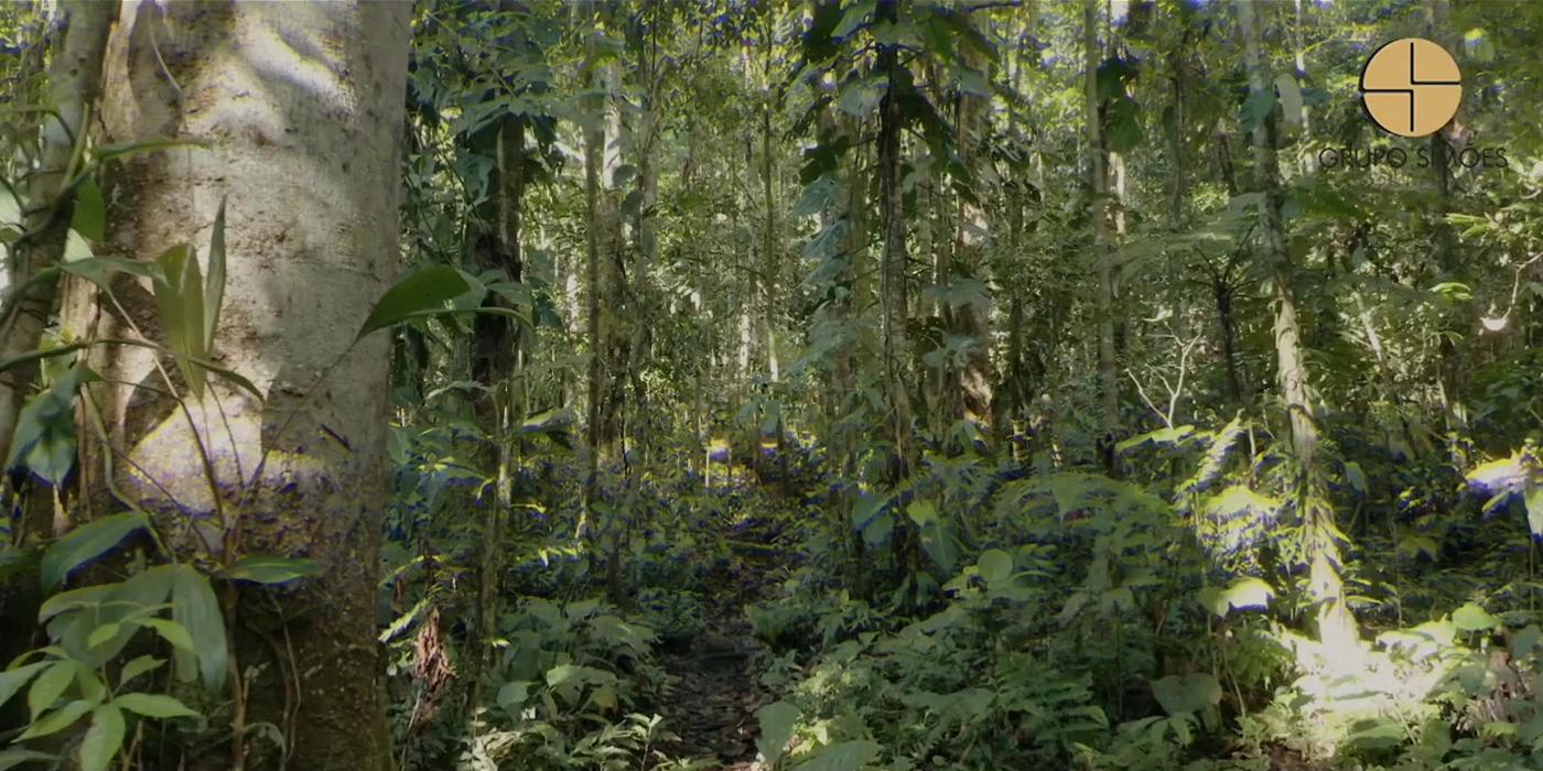 COMUNICAÇÃO QUE
ENTENDE O NORTE DO BRASIL