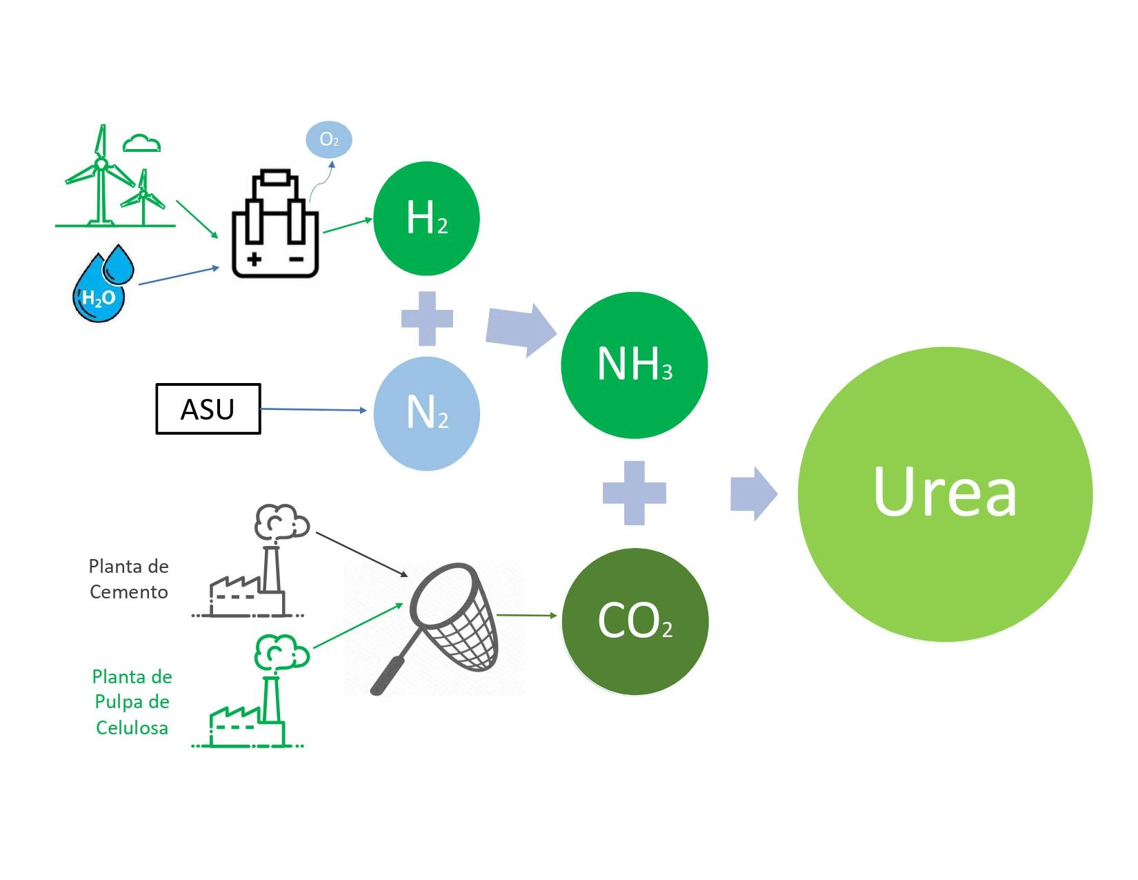 Diagrama del proceso de producción de urea neutra en carbono.