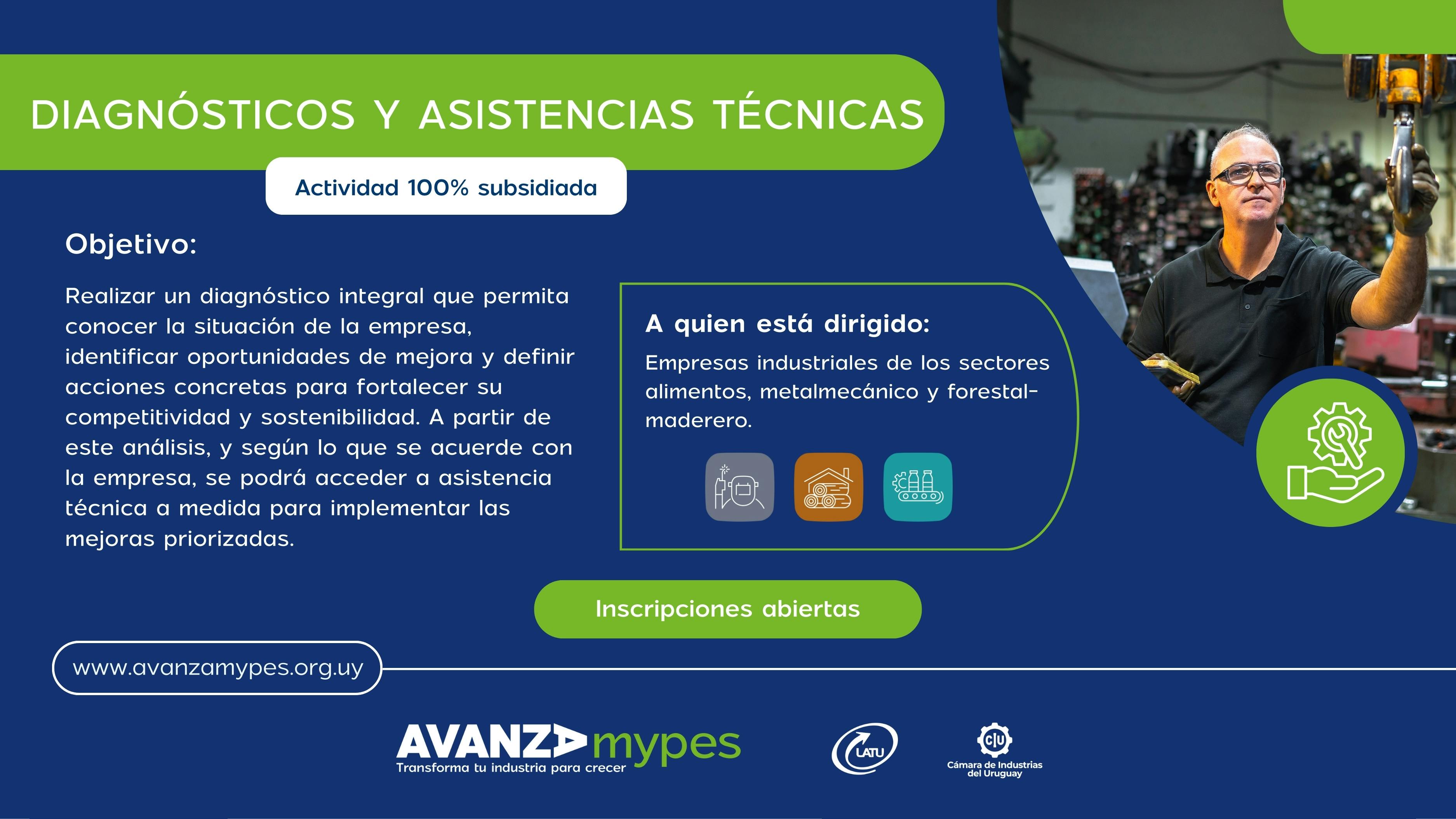 Diagnósticos y asistencias técnicas. Actividad 100 % subsidiada