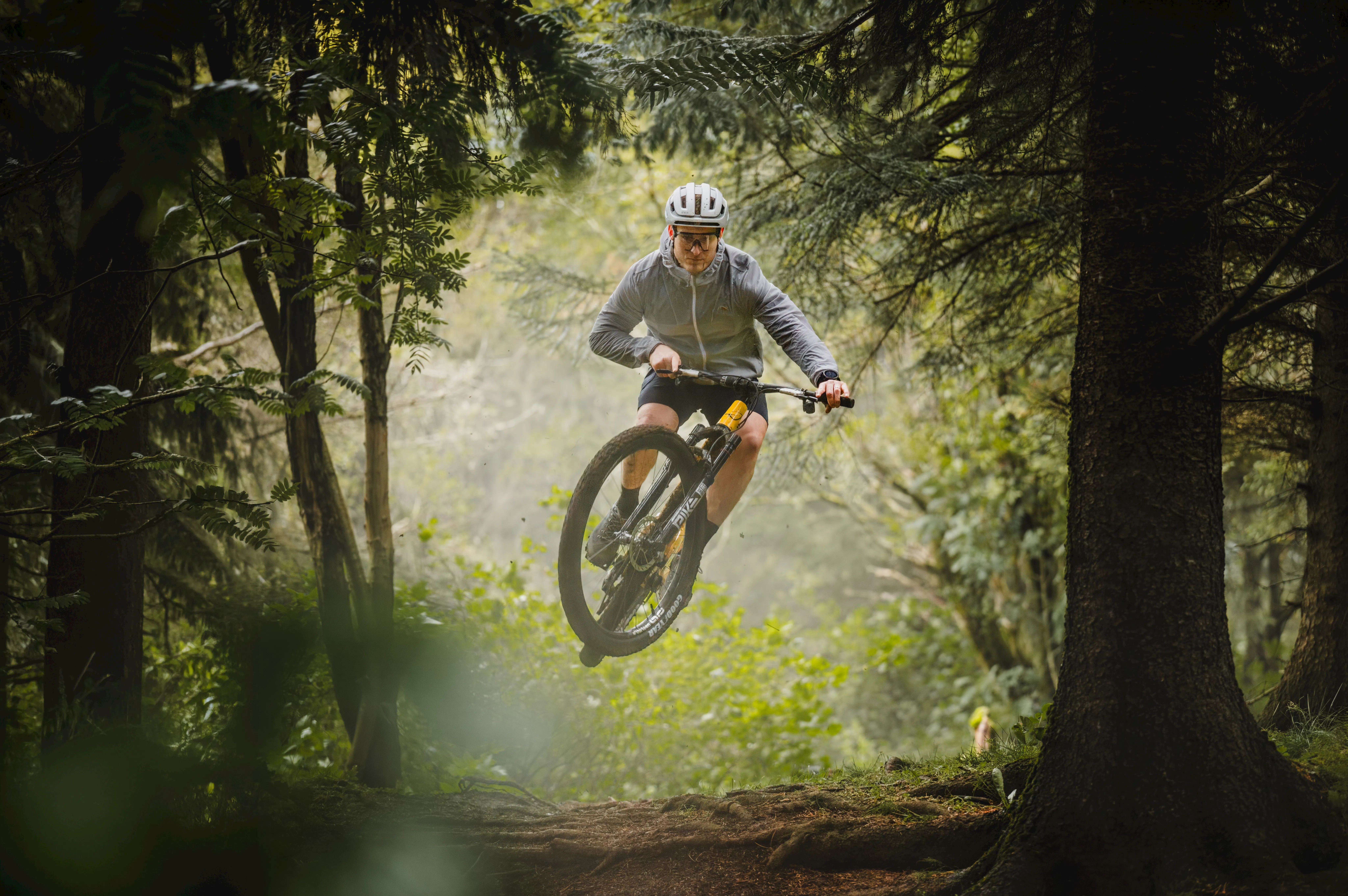 www.laufcycles.com