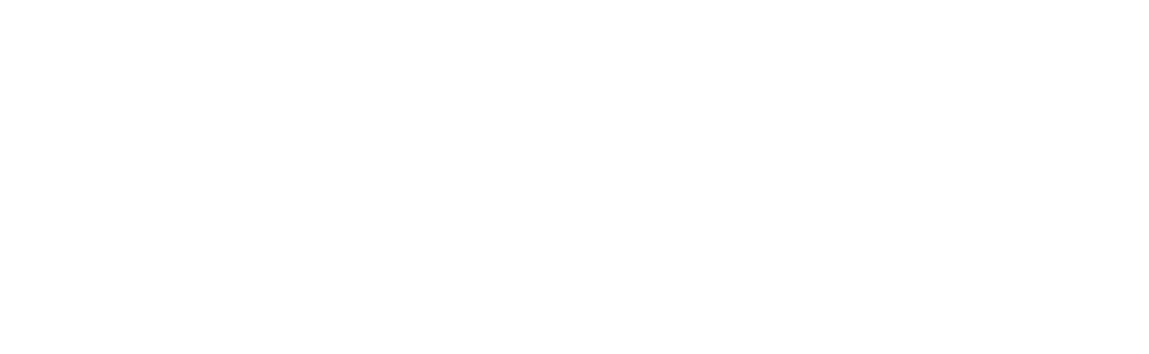 Seismic Logo