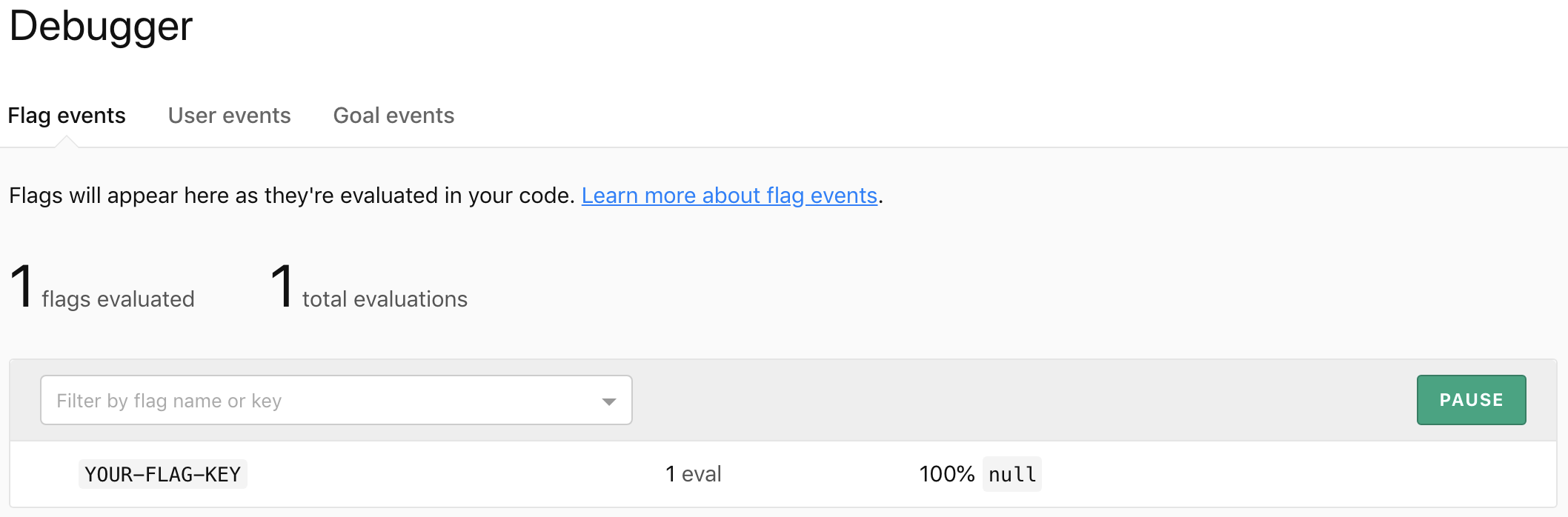 Debugger results showing the flag was evaluated