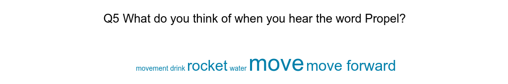 survey results - word cloud 5