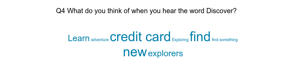 survey results - word cloud 4