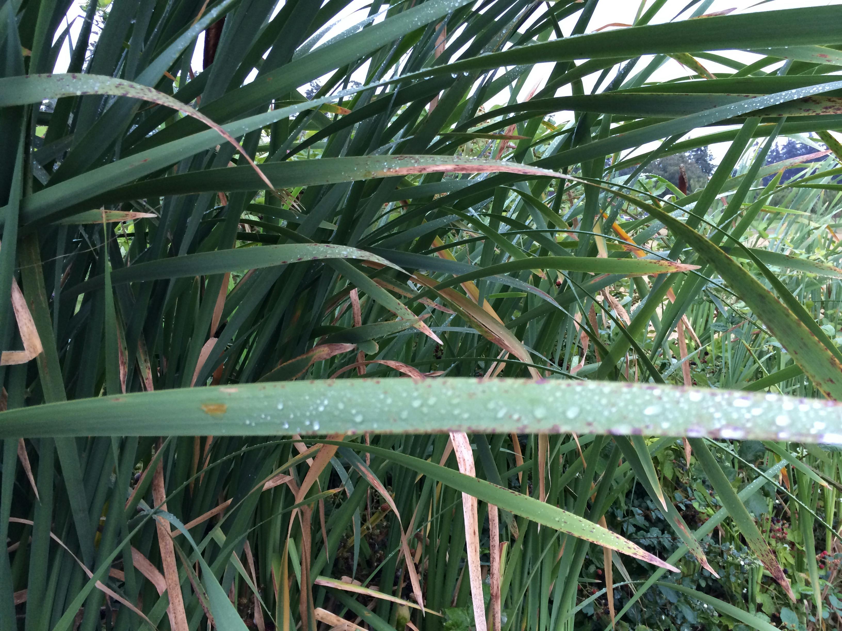 And so the adventure begins