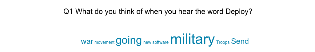 survey results - word cloud 1