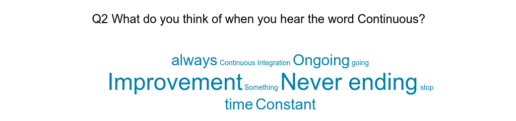 survey results - word cloud 2