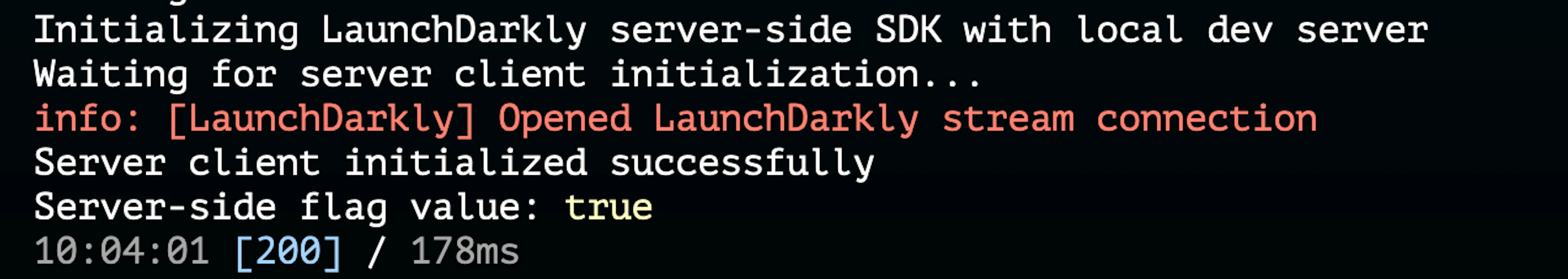 Command line output showing the successful initialization of the LaunchDarkly server-side SDK with the server-side flag set to true.