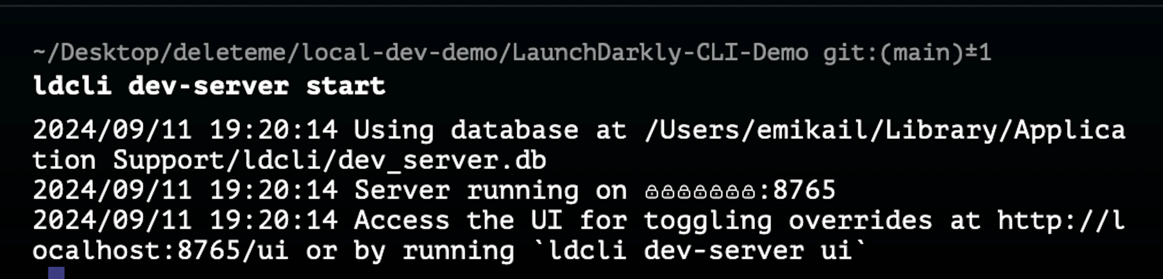 Command line interface output showing the LaunchDarkly development server starting with details about database location and UI access at localhost.