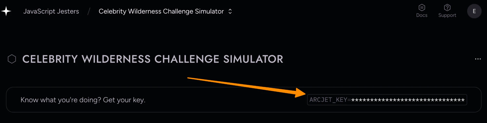 API key input field in a developer console for the Celebrity Wilderness Challenge Simulator game with an arrow pointing to the key