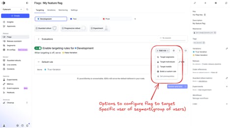 Options for targeting rules for the current feature flag