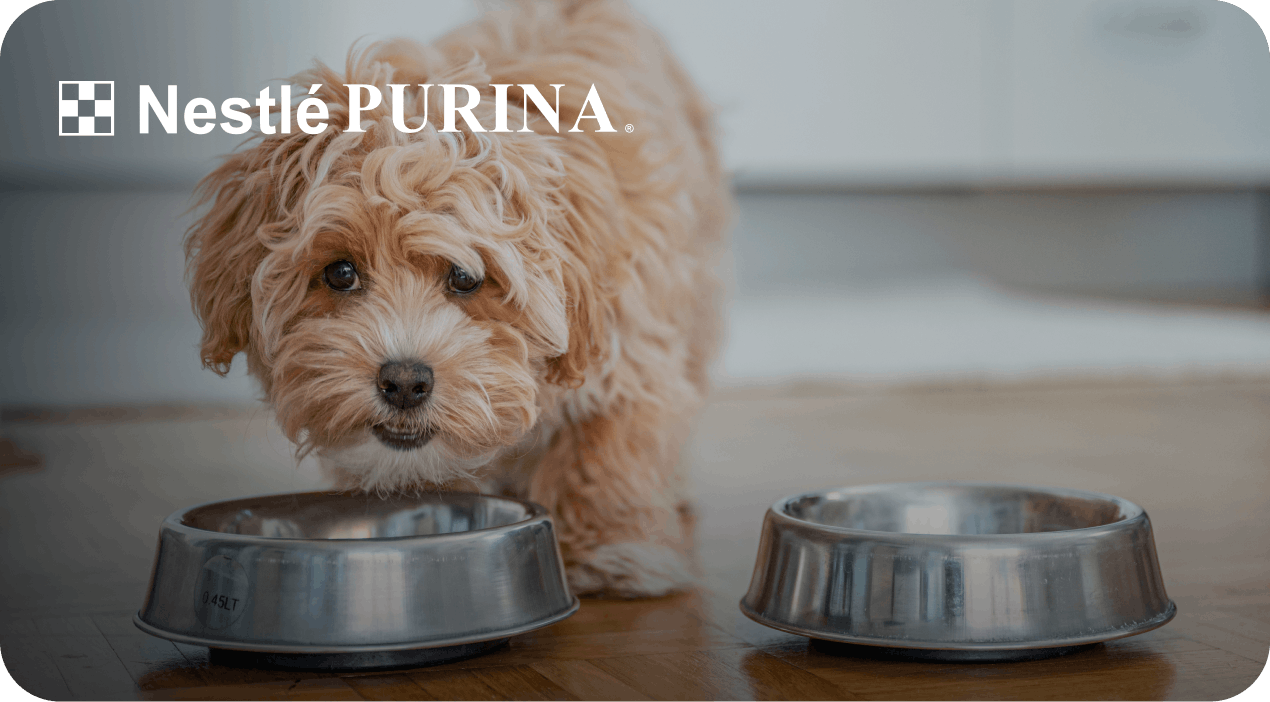 Nestlé Purina