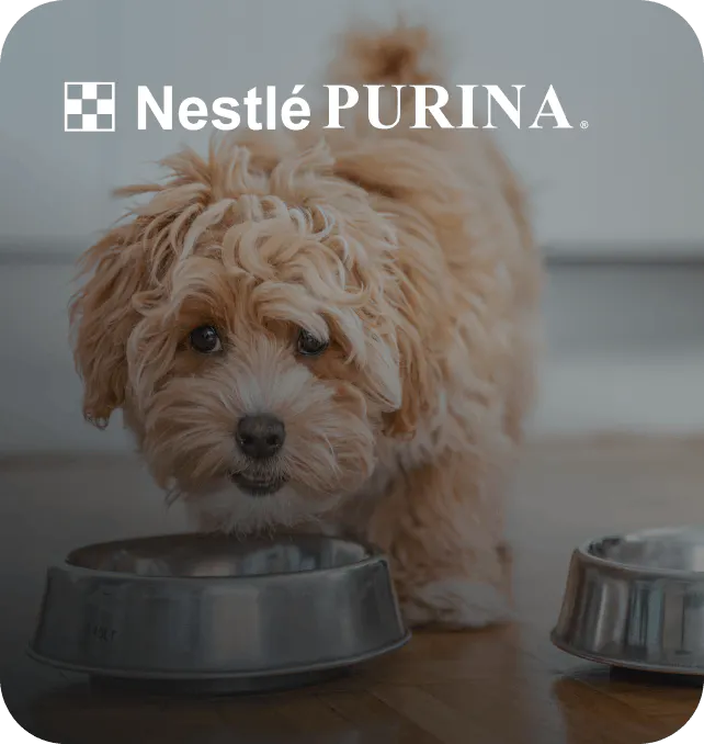 Nestlé Purina