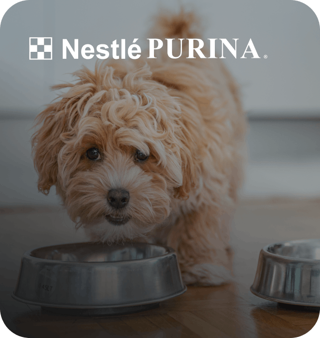 Nestlé Purina