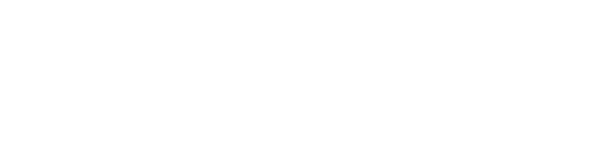 Precision Neuro logo