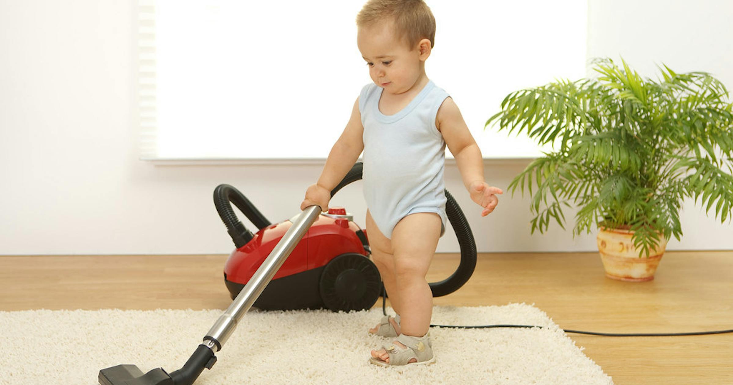 carpet cleaning