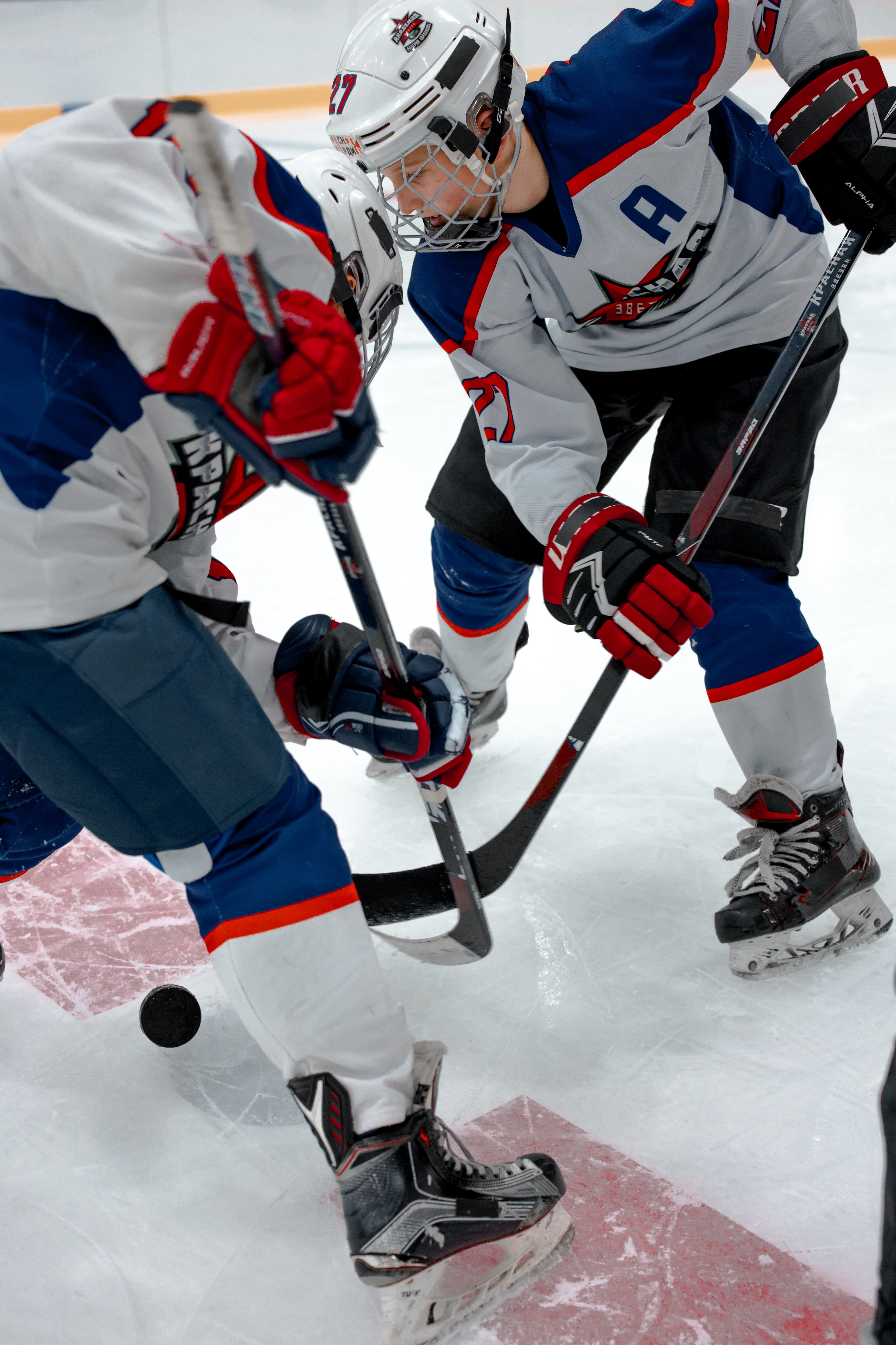 A hockey faceoff between two hockey players