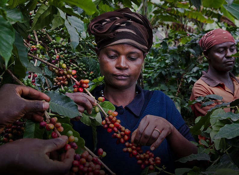 Sustainability report