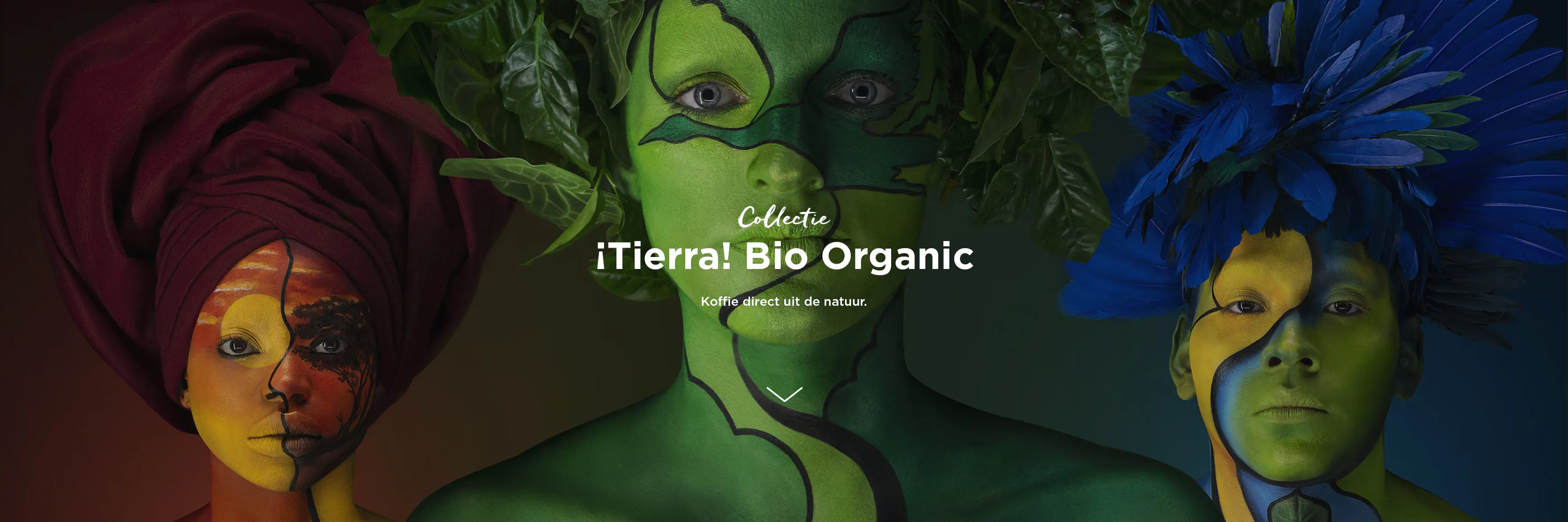 ¡Tierra! Header Collection