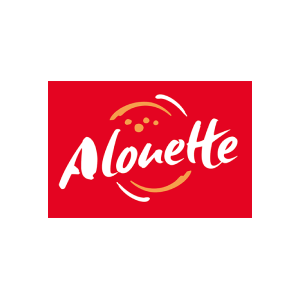 Alouette radio