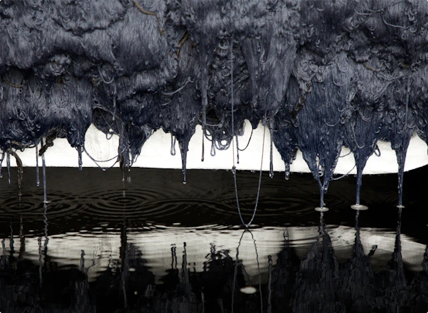 Large hanging mass of dark blue-black fibers reflected in a still pool of water below, with a bright band of light separating the fibers from their reflection.
