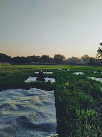 Person sitting cross-legged in meditation on a cloth in a field at dawn or dusk.