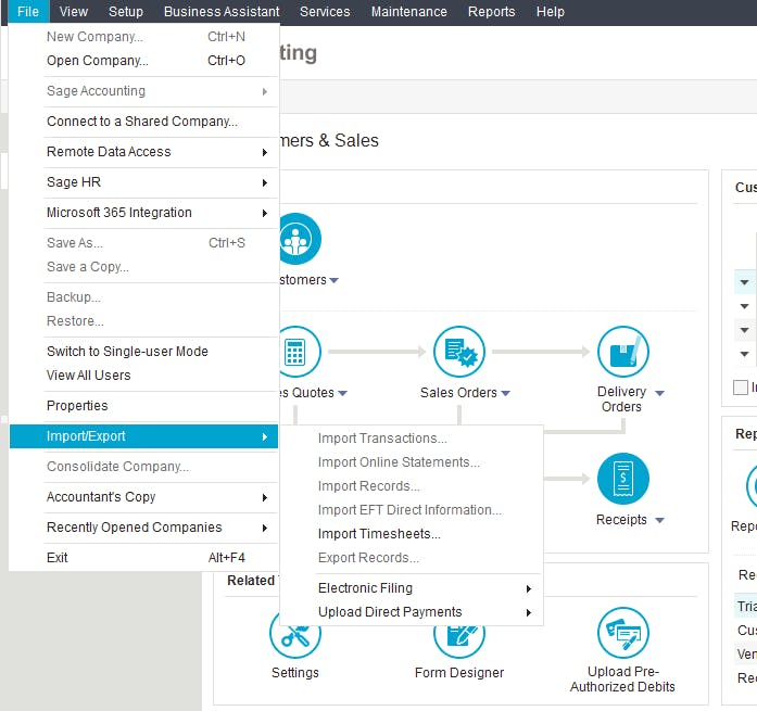 sage 50 data export import