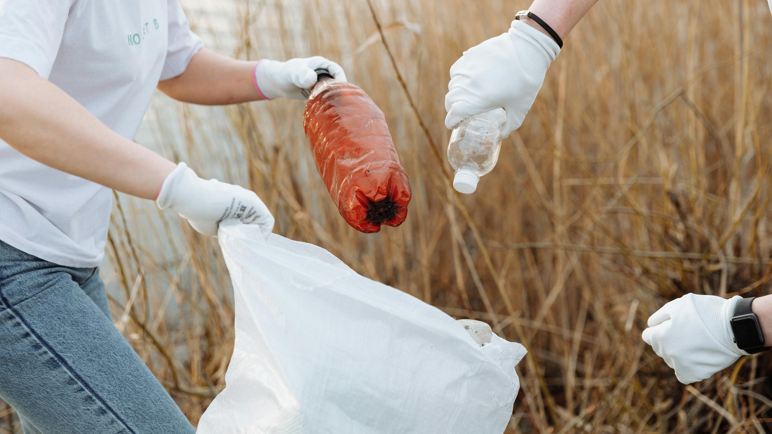 Plastique : ce qui change aujourd'hui et demain - Deux personnes ramassant des bouteilles en plastique dans un champs