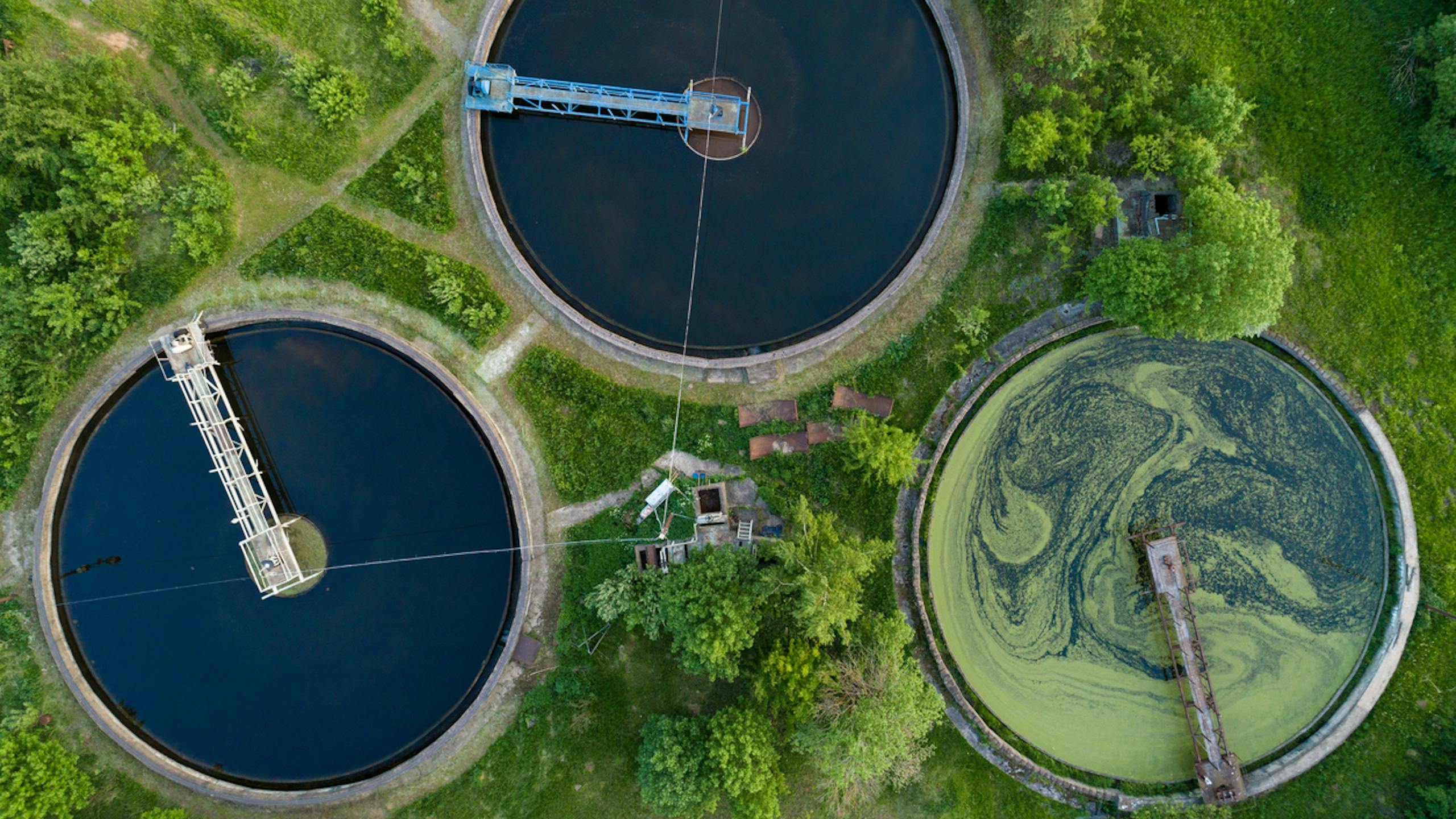 Vue aérienne de réservoirs de purification pour les eaux usées
