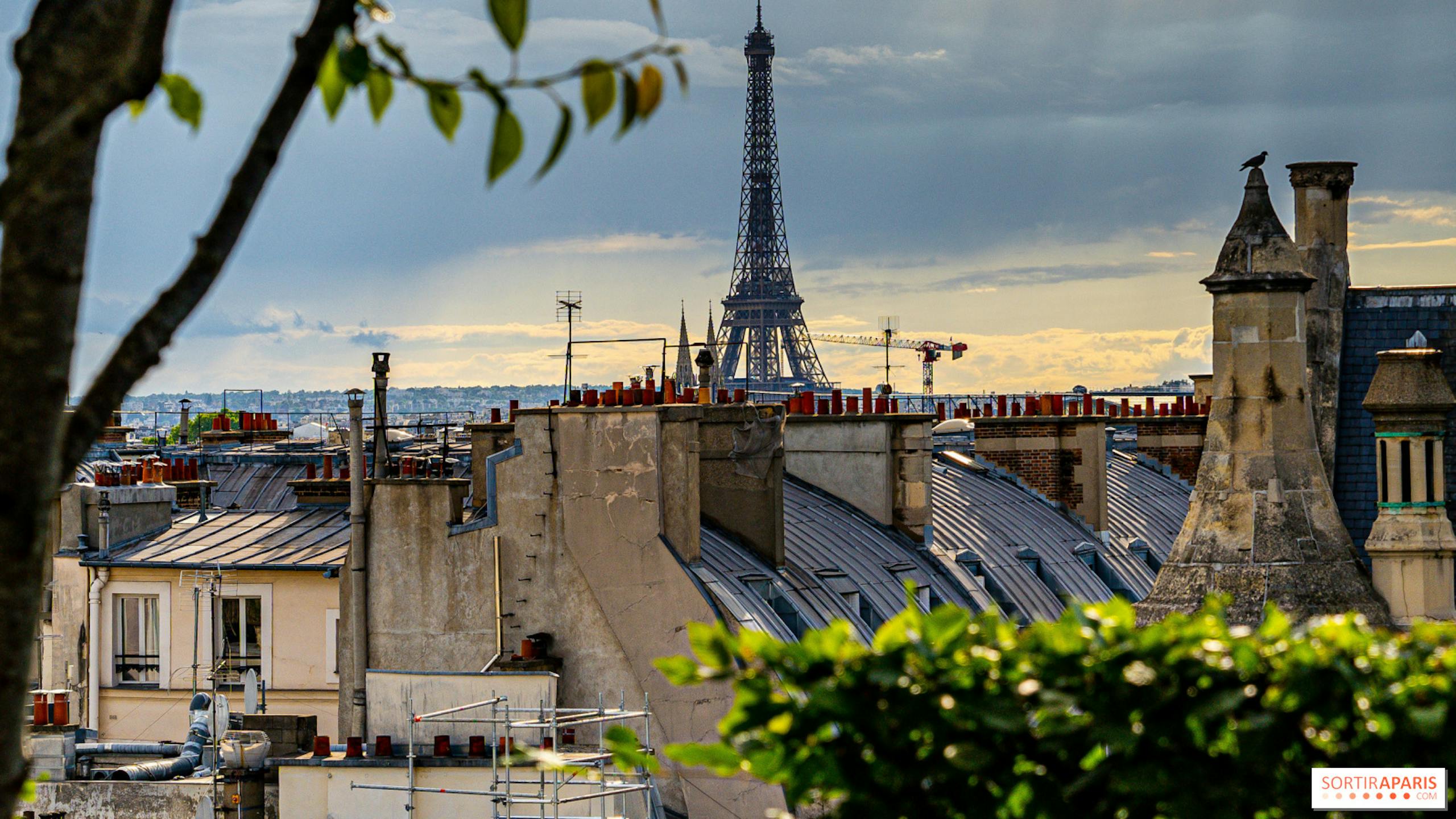 Vue sur la tour Eiffel et les toits de Paris 
