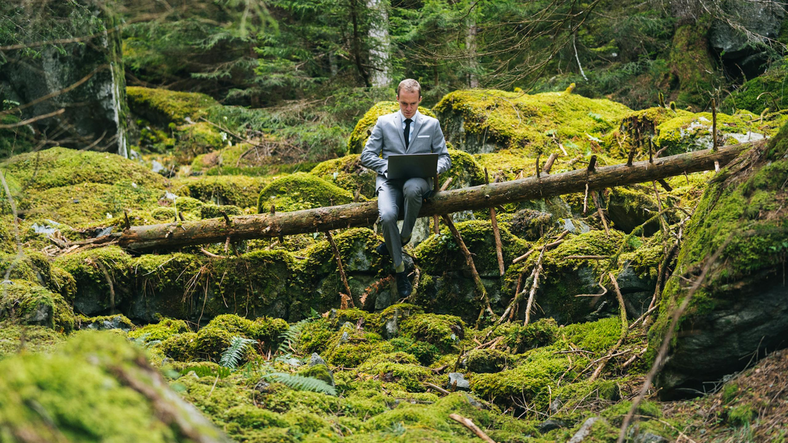 Homme télétravaillant en costume dans une forêt