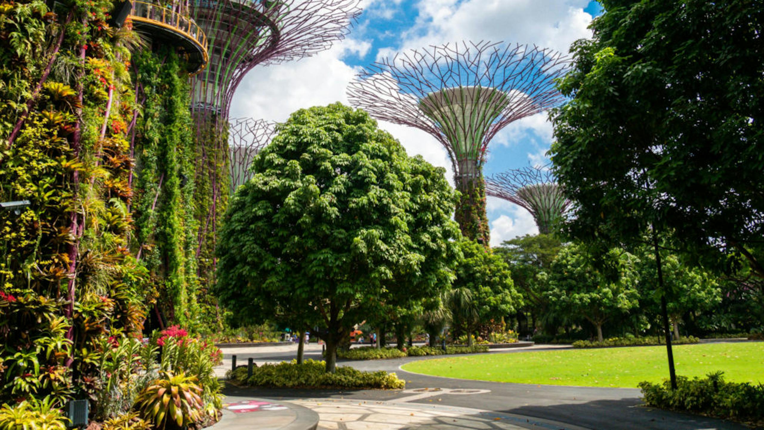 Parc futuriste de Singapour.
