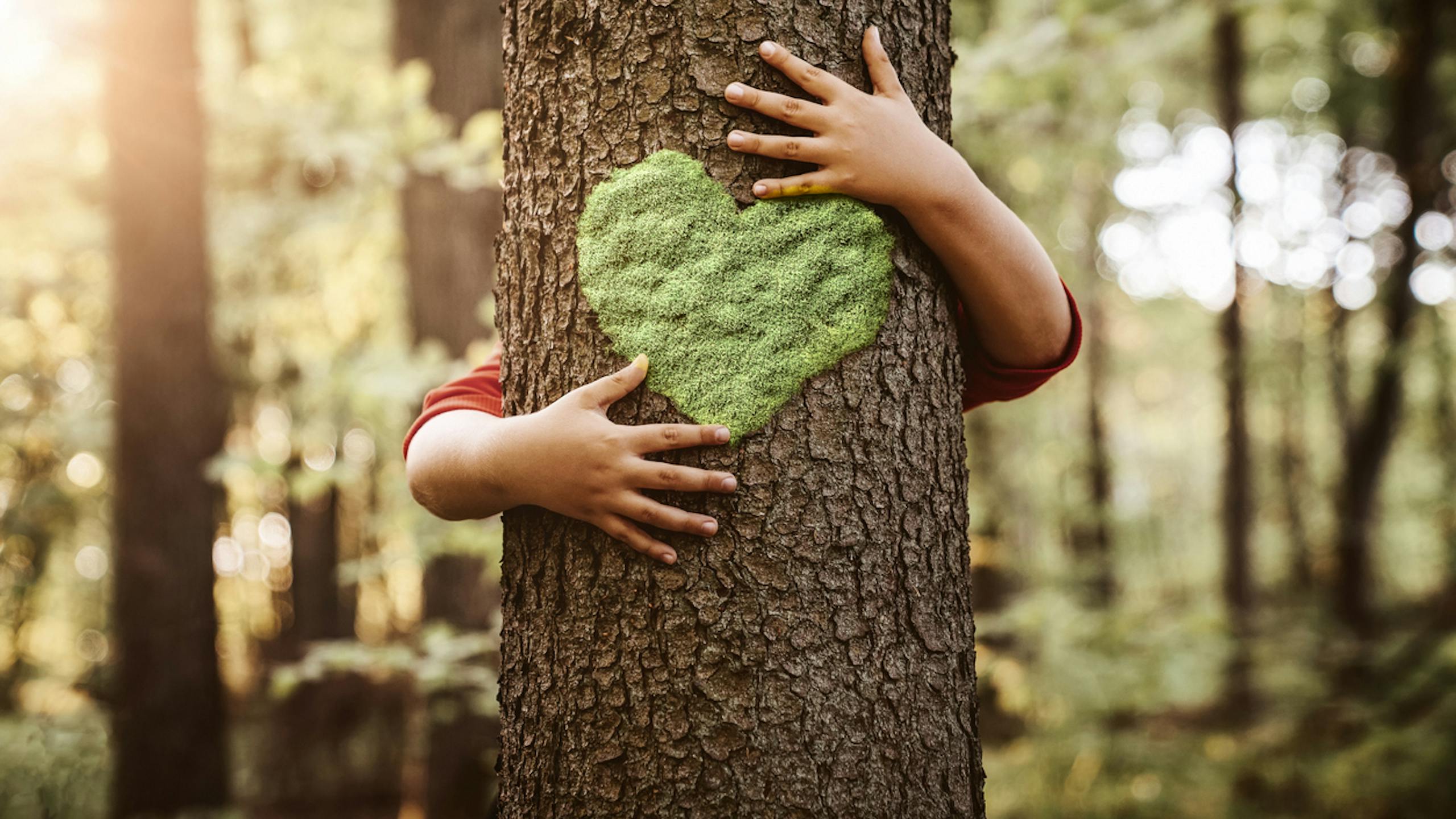 Bras d'enfant autour d'un arbre avec de la mousse en forme de coeur