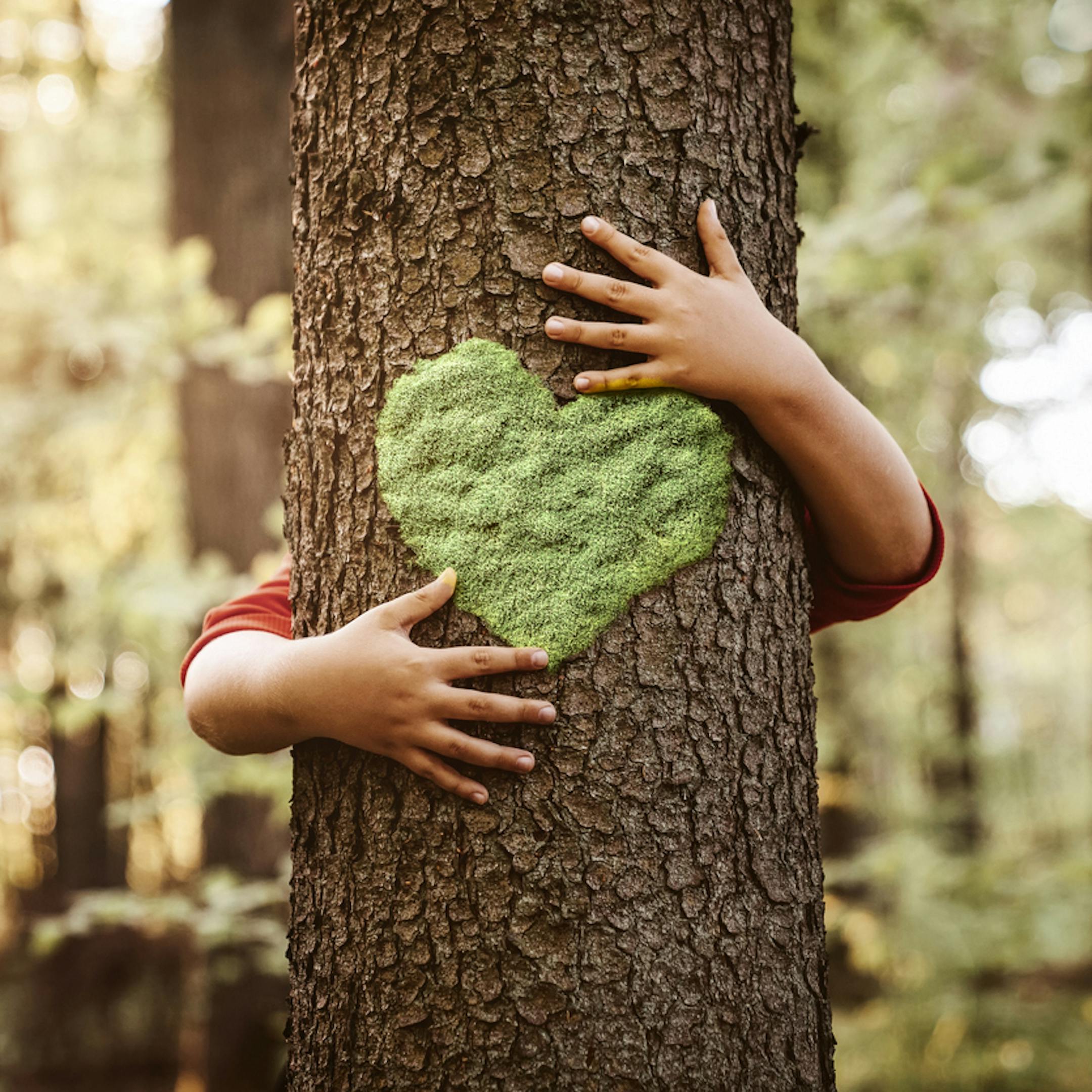 Bras d'enfant autour d'un arbre avec de la mousse en forme de coeur