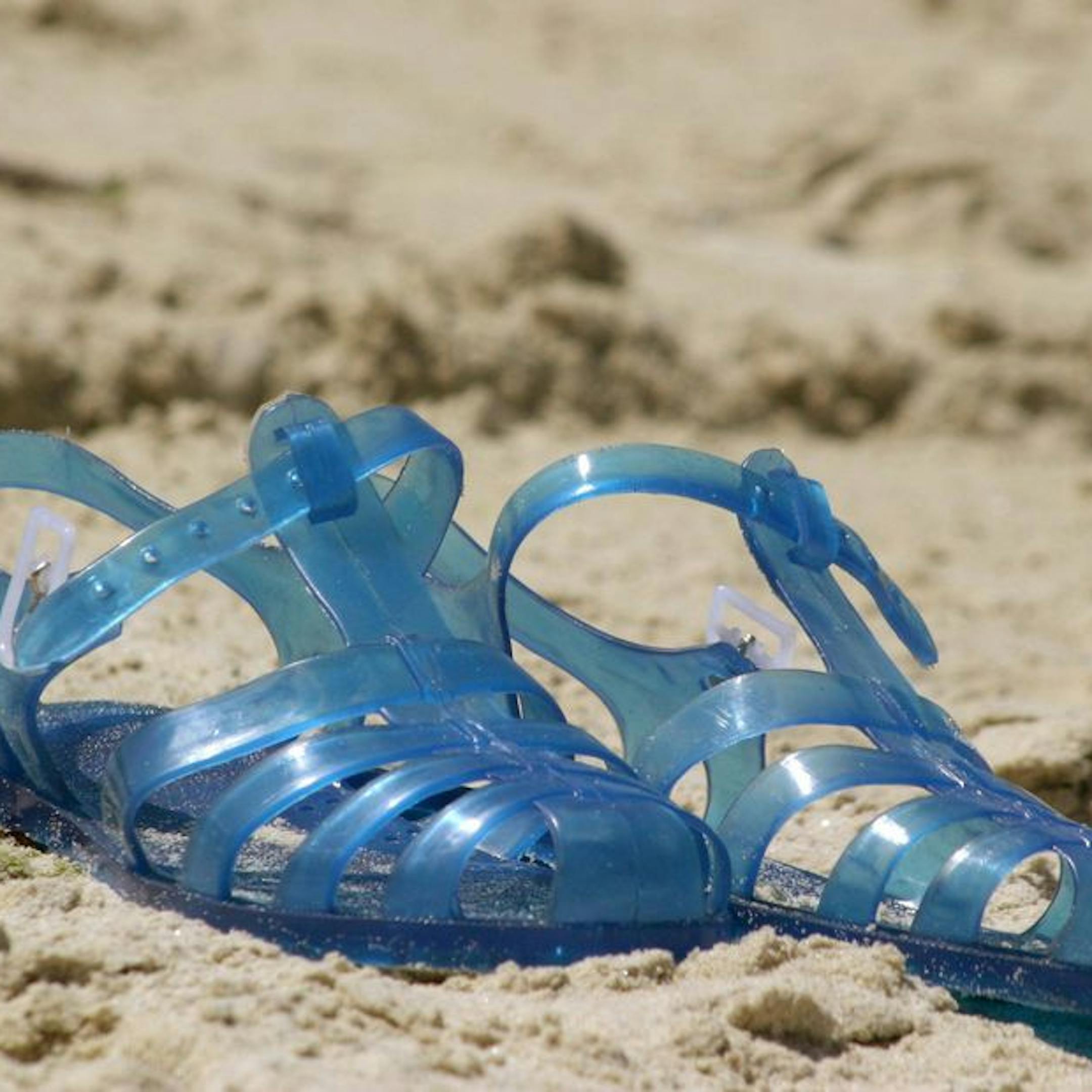 Paire de méduses bleues sur la plage