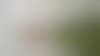 Un homme en salopette rouge et accroupie près du mur vert qu'il est en train de repeindre en blanc.