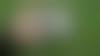 Une personne tient un appareil photo argentique noir et blanc au dessus d'un champ vert flou et en arrière plan