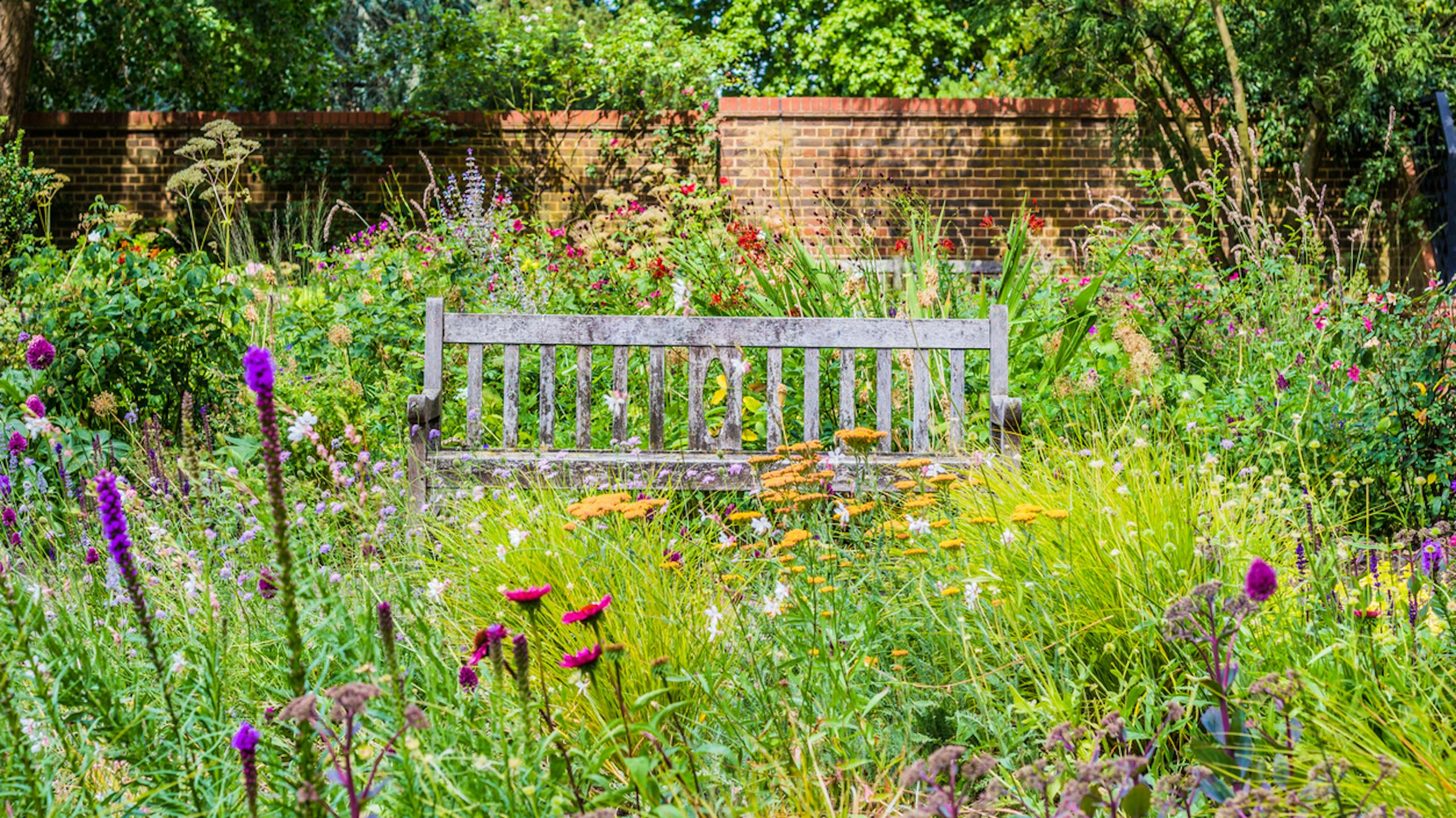 Jardin anglais avec un banc entouré de fleurs sauvages