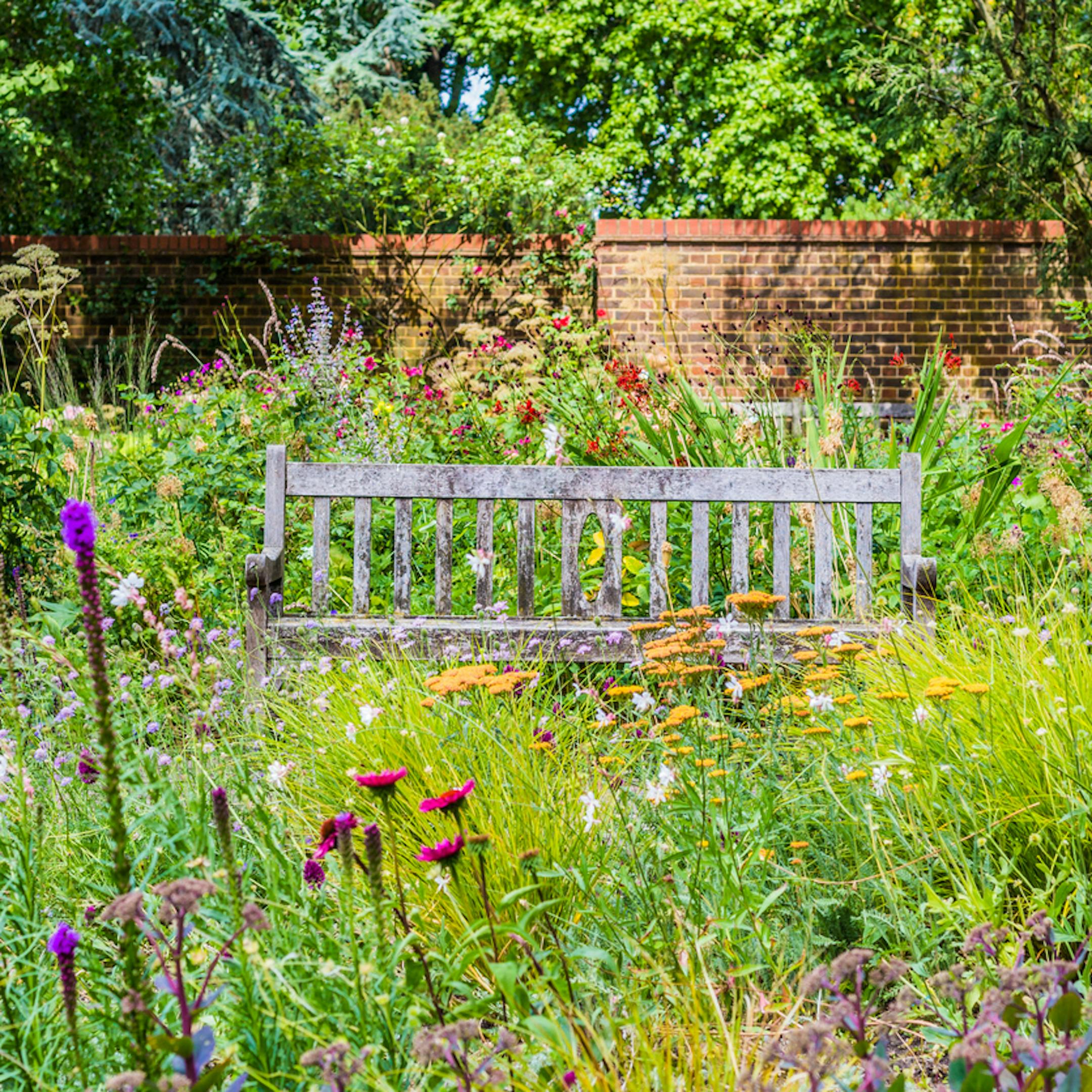 Jardin anglais avec un brac entouré de fleurs sauvages