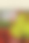 Couverture de L'imposture de Zadie Smith