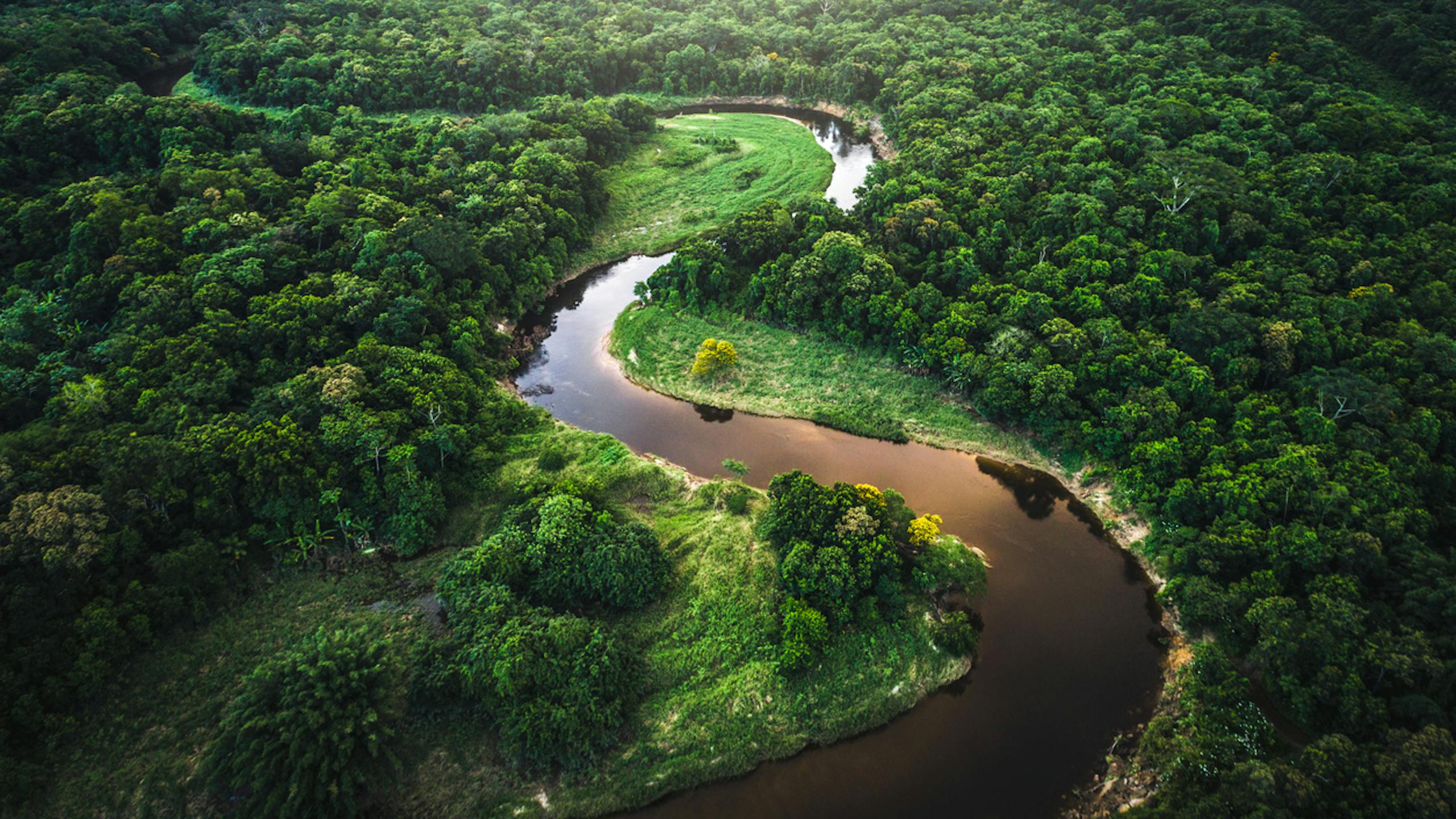 Vue aérienne de la forêt Amazonienne au Brésil