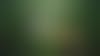 Vue aérienne de la forêt Amazonienne au Brésil