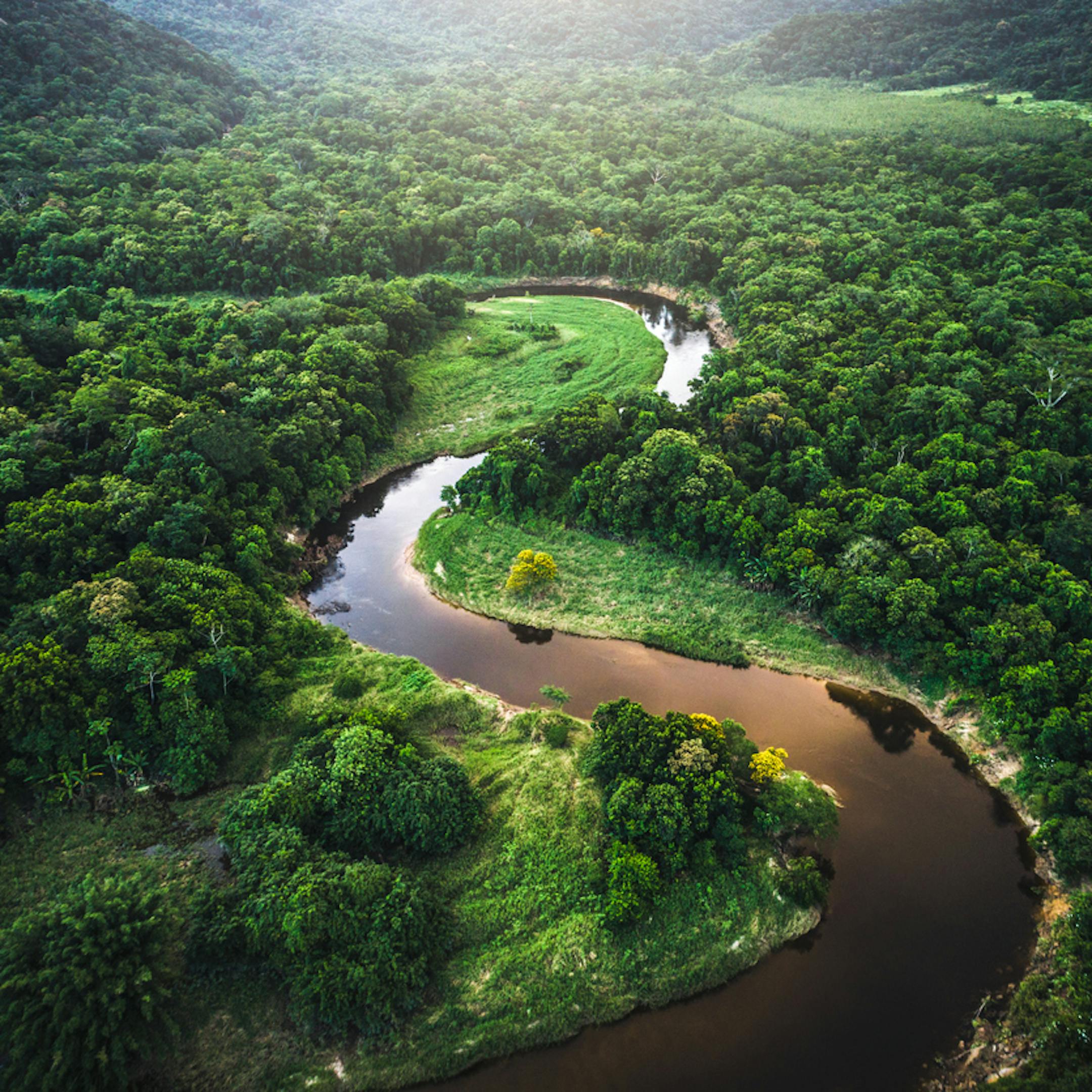 Vue aérienne de la forêt Amazonienne au Brésil