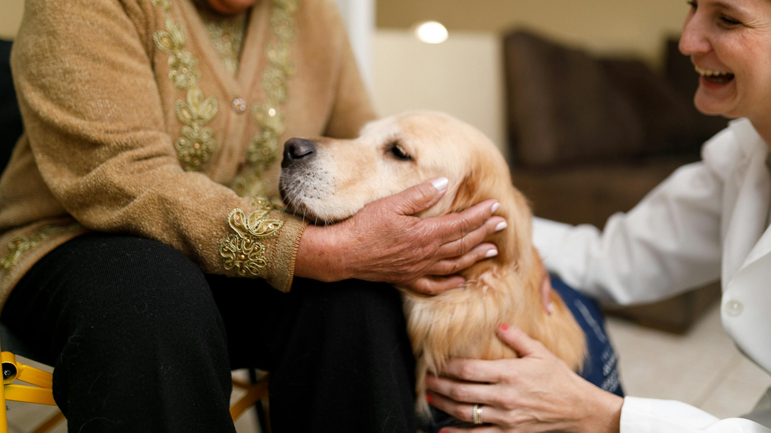 Thérapeute présentant un chien à une patiente