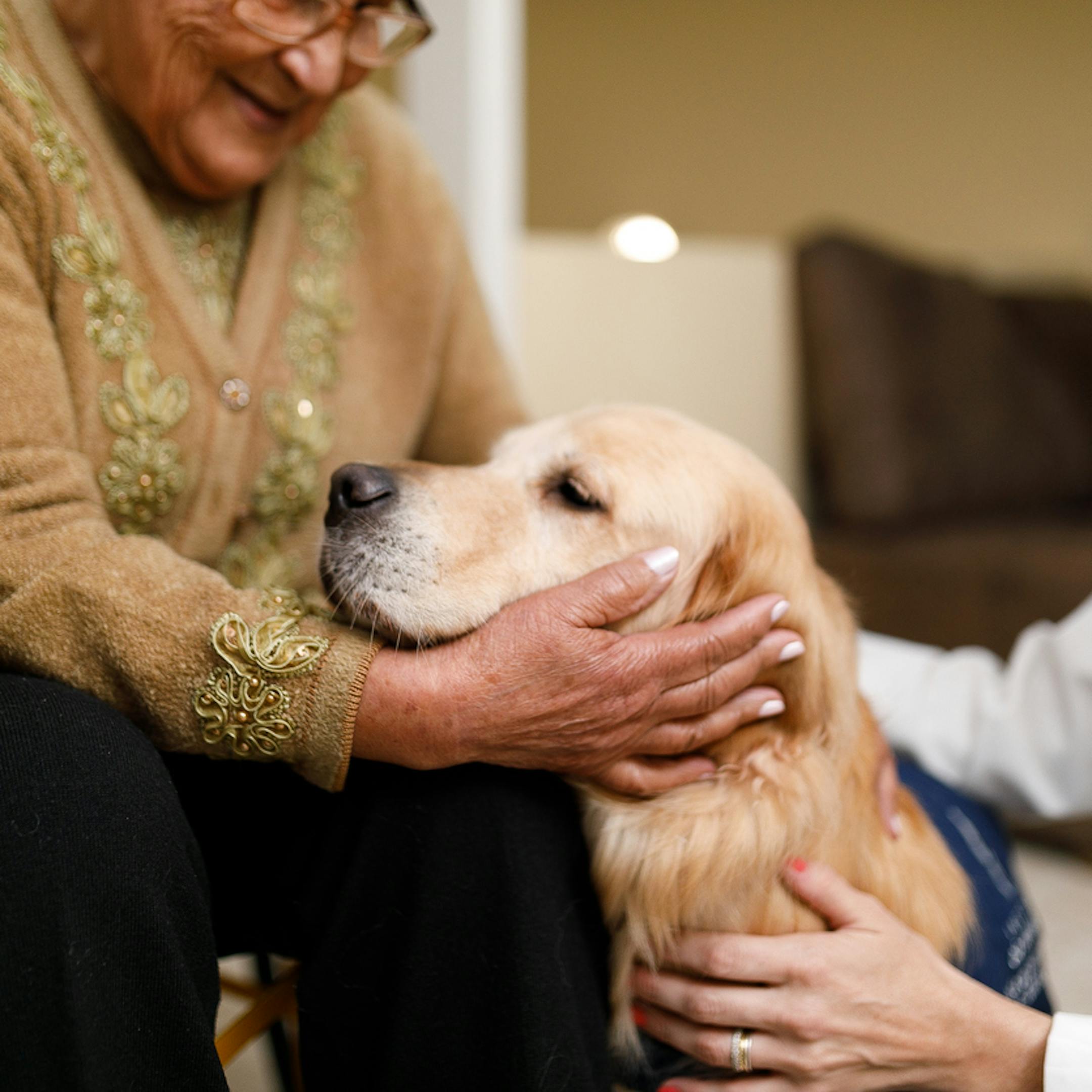 Thérapeute présentant un chien à une patiente
